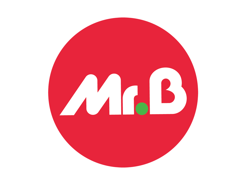 logo_mr_bricolage